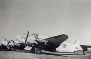 PV-1 Ventura BuAer34794 vu en 1946 à Lartigue (Algérie). (©coll. L.Morareau - origine Pelz)