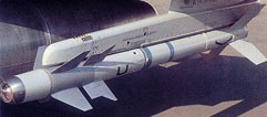 Missile air/air courte portée Matra R550 Magic 1. (©Netmarine)