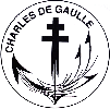 Motif symbolique du PAN Charles de Gaulle. (©Marine Nationale)